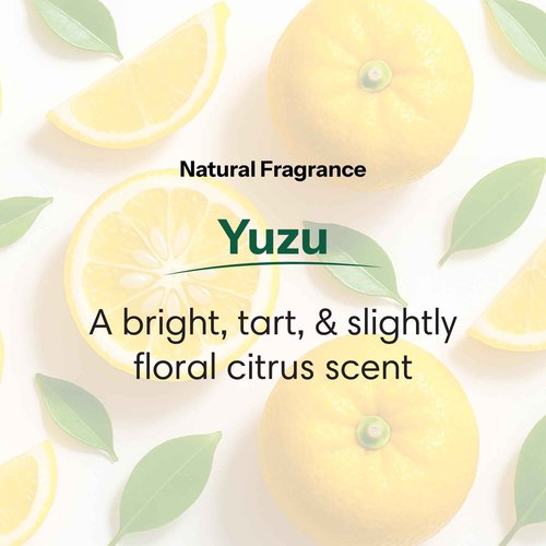 ShiKai Daily Moisturizing Shower Gel (Yuzu, 1 Gallon) | Gentle Soap-Free Formula | with Aloe Vera & Finely Ground Oatmeal for Soft, Healthy Skin | Dry Skin Relief