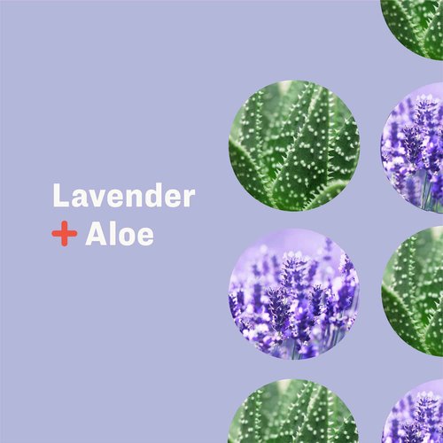 Bundle of Everyone 3-in-1 Soap, Body Wash, Bubble Bath, Shampoo, 32 Ounce (Pack of 2), Lavender and Aloe+ Everyone Nourishing Hand and Body Lotion, 32 Ounce (Pack of 2), Lavender and Aloe