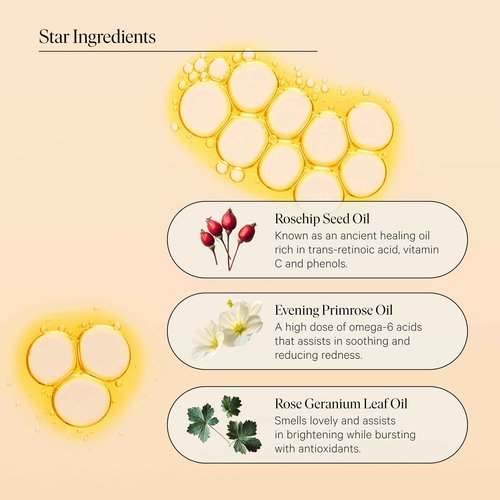 Repair Face Oil - Night Face Mask, Anti Aging, Hydrating Facial Oil for Women, Vegan Beauty, Gua Sha Facial Oil Moisturizer, Ideal for Plumping Fine Lines and Wrinkles, Petty Grudges - Biography 13 mL
