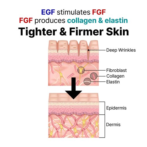 LANBELLE Ultra Lifting EGF FGF Ampoule Serum w/Centella Asiatica and Hyaluronic Acids & Celdyque Advanced Retinol Pro Serum Duo Set Improves Skin Balance Anti-Aging Skin-Smoothing Korean Skincare
