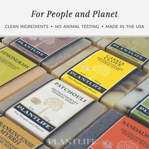 Plantlife Pumpkin Spice 3-pack Bar Soap - Moisturizing and Soothing Soap for Your Skin - Hand Crafted Using Plant-Based Ingredients - Made in California 4 oz Bar