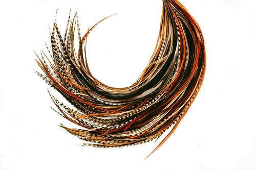 50 Natural Color Hair Extensions – 7”–11” Long – DIY Rooster Kit with 50 Micro-Link Beads – 100% Real Feathers – Eye-Catching Boho Style