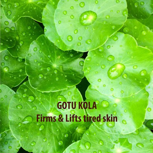 SUNDARI Gotu Kola and Walnut Exfoliator, 7 Fl Oz, Herbal Body Scrub, Firms and Revitalizes Skin, Lightly Foaming Formula, Sweet and Spiced Scent