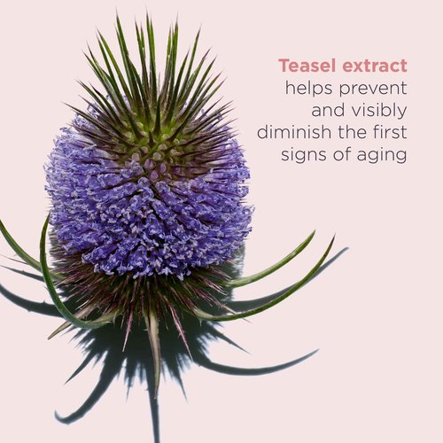 Clarins Total Eye Revive | Anti-Aging Cream-Gel Eye Treatment | Visibly Smoothes Fine Lines | Targets Dark Circles, Puffiness and Signs Of Fatigue | Brightening | Cooling Metal Applicator | 0.5 Oz