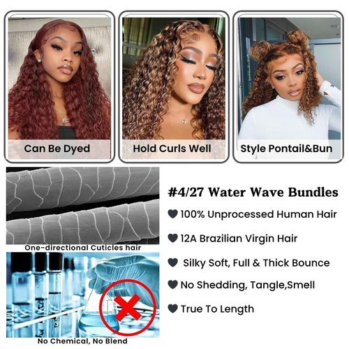 ALHER Water Wave Honey Blonde Highlight 4x4 Closure 18 Inch, 12A P4/27 Honey Brown Ombre Colored Wet and Wavy Free Part Melt 4x4 Lace Closure 100% Virgin Remy Human Hair Pre Plucked with Baby Hair