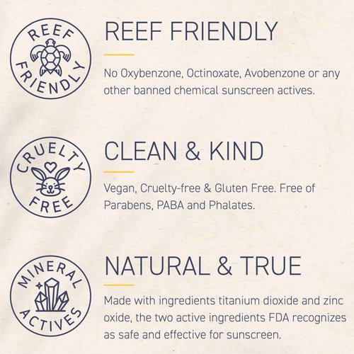 Brush On Block Full Face Sun Protection Kit, Translucent Mineral Powdered Sunscreen & Protective Lip Oil SPF 30, Reef Friendly, FSA HSA Eligible