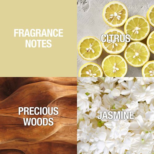 Alfred Sung Women's Fragrance, Sung Eau De Toilette EDT Spray, 3.4 Fl Oz
