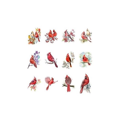 https://ssl.hakyungsoft.com/himg/Url/link/anRlbWdsb2JhbA%3D%3D/77490/600/f.jpg