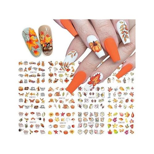 https://ssl.hakyungsoft.com/himg/Url/link/anRlbWdsb2JhbA%3D%3D/139003/600/f.jpg