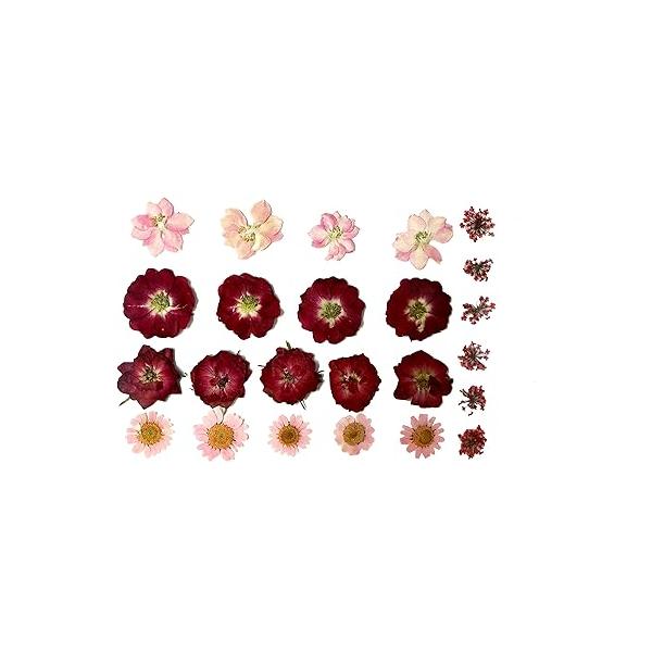https://ssl.hakyungsoft.com/himg/Url/link/anRlbWdsb2JhbA%3D%3D/77025/600/f.jpg