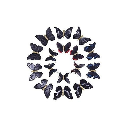 https://ssl.hakyungsoft.com/himg/Url/link/anRlbWdsb2JhbA%3D%3D/105352/600/f.jpg