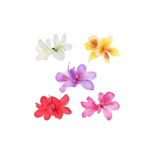 https://ssl.hakyungsoft.com/himg/Url/link/anRlbWdsb2JhbA%3D%3D/104452/600/f.jpg