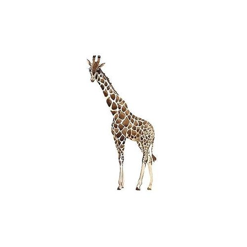 https://ssl.hakyungsoft.com/himg/Url/link/anRlbWdsb2JhbA%3D%3D/77130/600/f.jpg