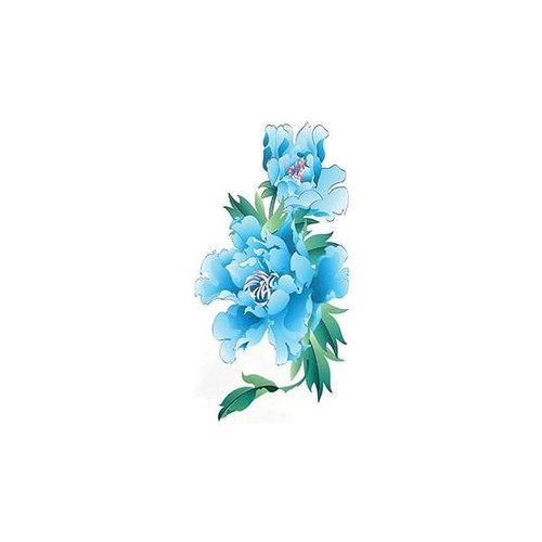 https://ssl.hakyungsoft.com/himg/Url/link/anRlbWdsb2JhbA%3D%3D/78743/600/f.jpg