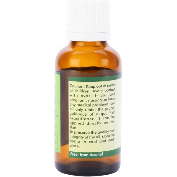 https://ssl.hakyungsoft.com/himg/Url/link/anRlbWdsb2JhbA%3D%3D/123135/600/f.jpg