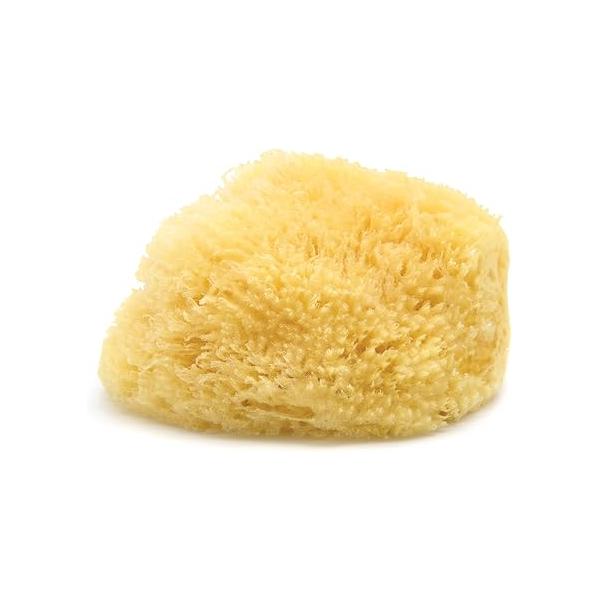 https://ssl.hakyungsoft.com/himg/Url/link/anRlbWdsb2JhbA%3D%3D/164074/600/f.jpg